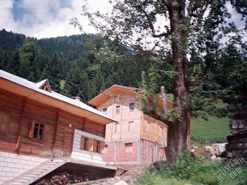 View of Ayder high plateau and spa located in Rize city of Turkey.
