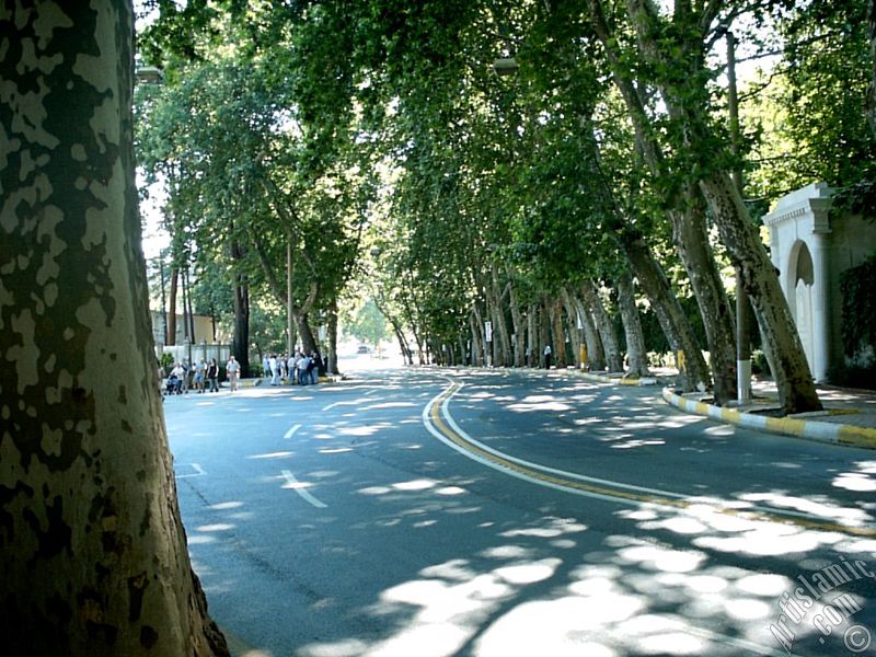 View towards Dolmabahce district from the way of Dolmabahce-Besiktas in Istanbul city of Turkey.
