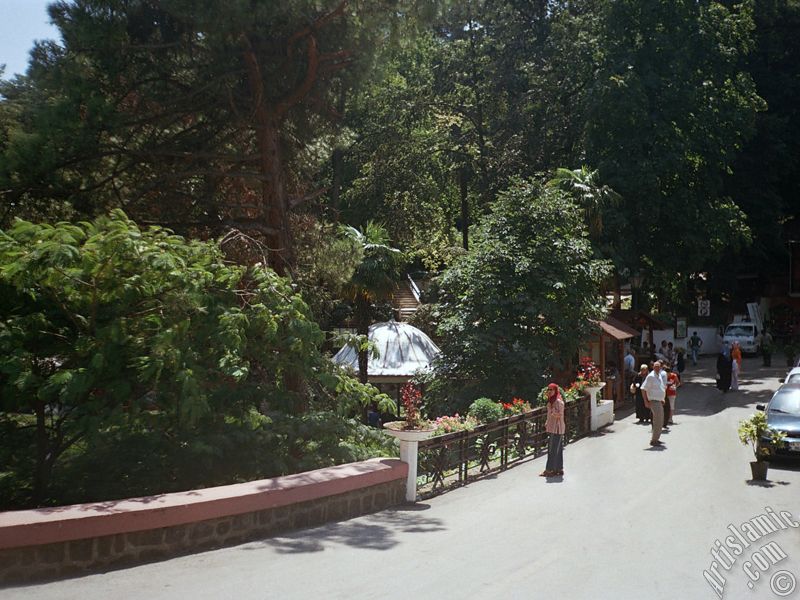 View of Termal-Gokcedere Village in Yalova city of Turkey.
