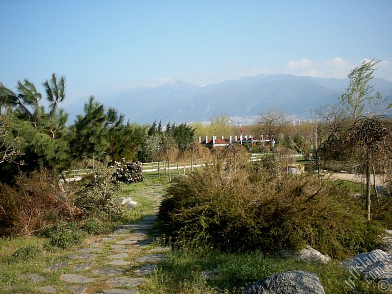 View of Botanical Park in Bursa city of Turkey.
