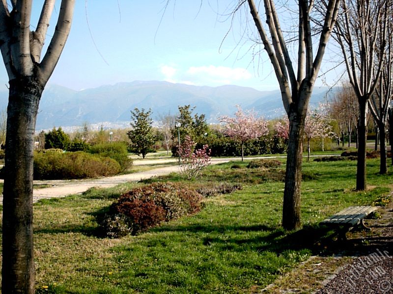 View of Botanical Park in Bursa city of Turkey.
