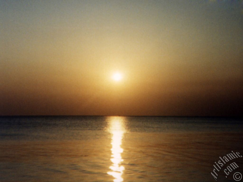 View of sunset and a ship on the horizon from Guzelce shore in Istanbul city of Turkey.
