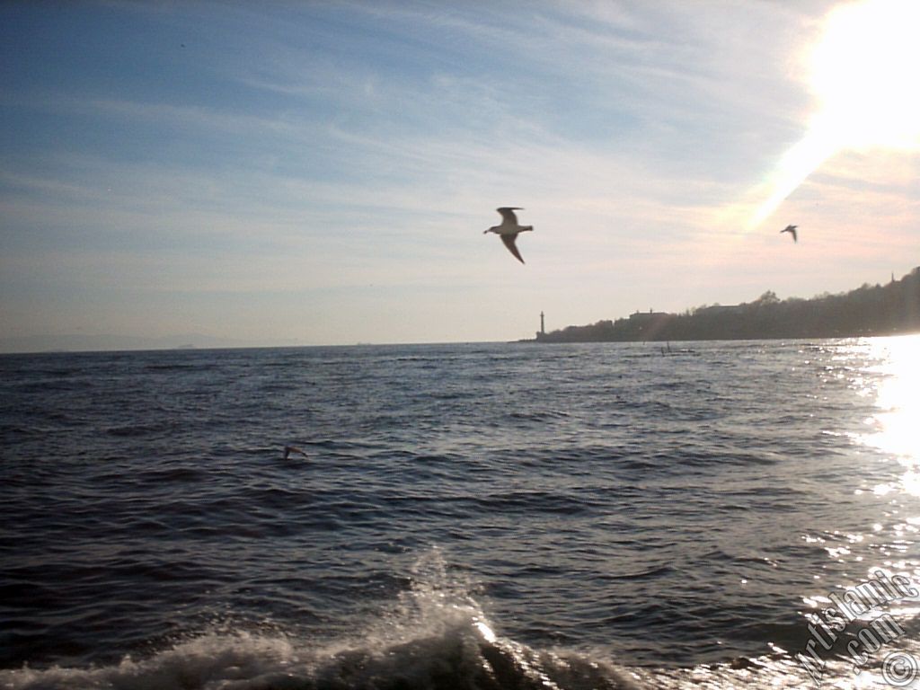 View of Sarayburnu coast, lighthouse and sea gulls from the Bosphorus in Istanbul city of Turkey.
