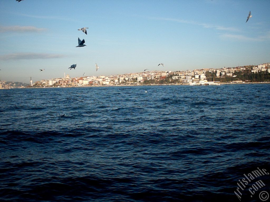 View of Uskudar-Harem coast from the Bosphorus in Istanbul city of Turkey.
