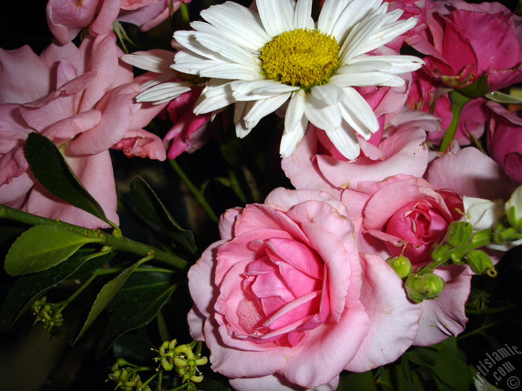 A bouquet consisting of rose, daisy and snapdragon flowers.
